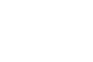 WHITE COMPANY WHITE COMPANY