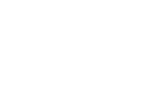 body body