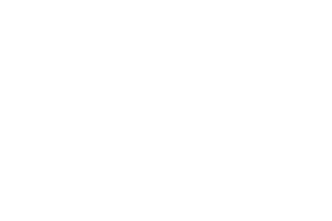 burton burton