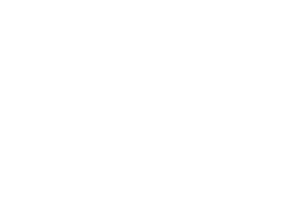 fiorelliw fiorelliw
