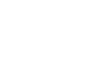 mint velvet mint velvet