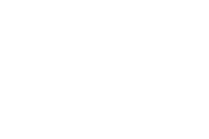 jigsaw